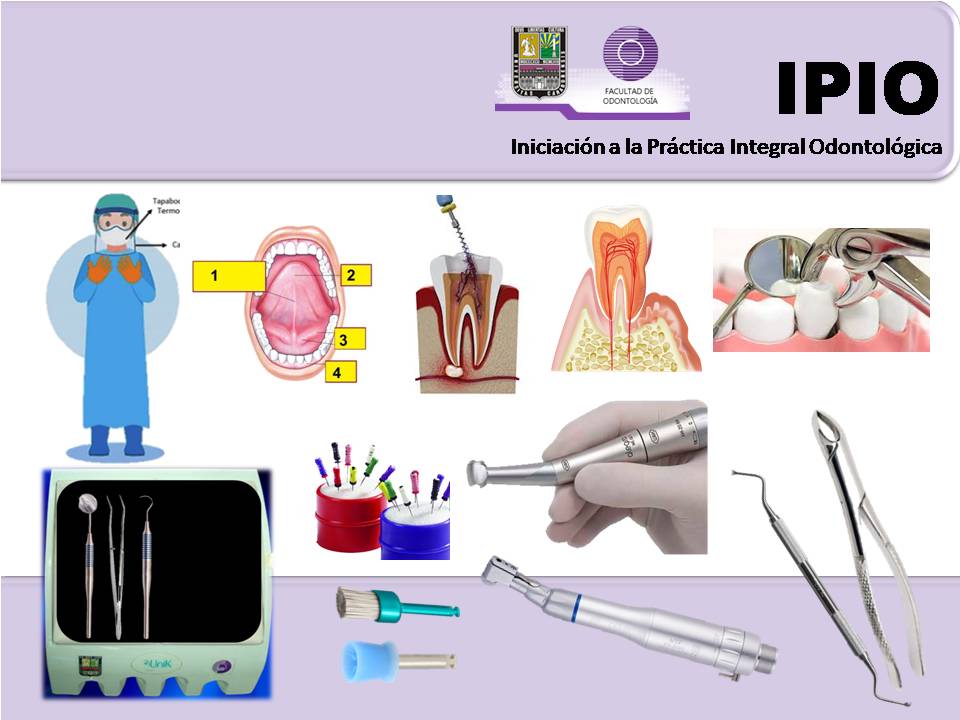 logo IPIO